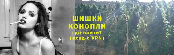 гидропоника Абаза