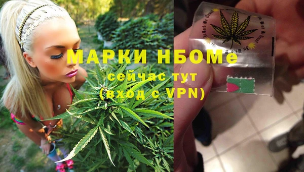 крисы Алексин
