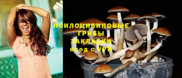 спиды Алзамай