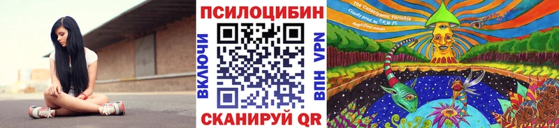 KRAKEN маркетплейс  Кедровый  Псилоцибиновые грибы GOLDEN TEACHER 